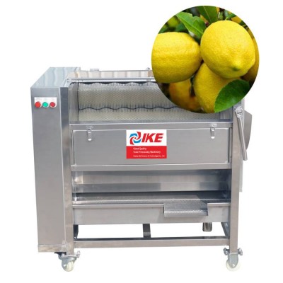 Commercial Automatic Lemon Polishing Orange Scrub Fruit Brush Cleaning Machine