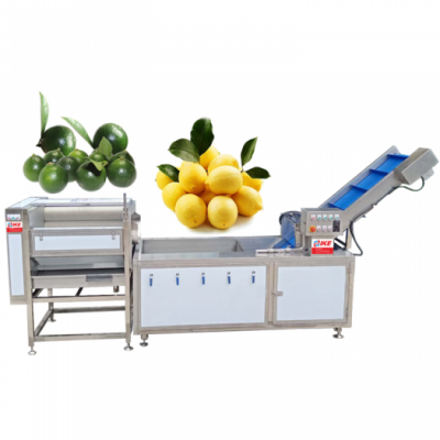 Electric Brush Fruit Root Vegetables Cleaning And Polishing Machine Factory Price