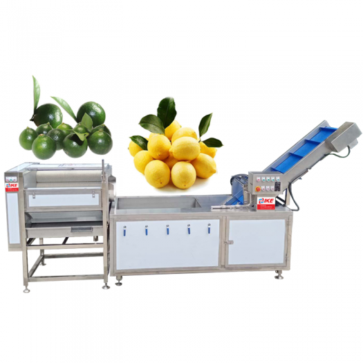 Electric Brush Fruit Root Vegetables Cleaning And Polishing Machine Factory Price