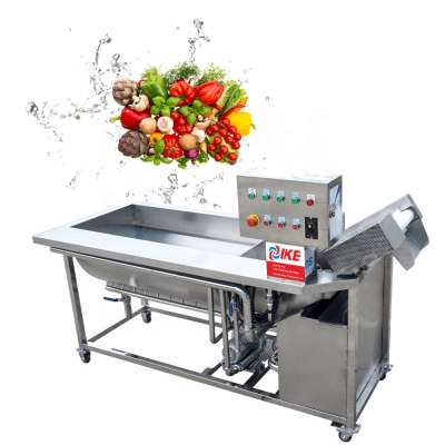 Easy Operation Brush Fruit Washing Machine Ginger Conveyor Belt Vegetable Washing Machine Equipment Made In China